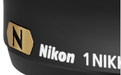 nbvnbvn