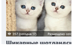 ghmghmgh
