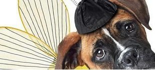 beeline