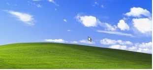 win xp
