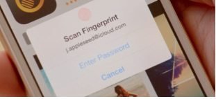 apple id