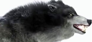 nvidia hair
