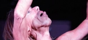 iggy pop