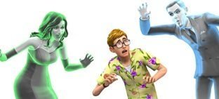 sims