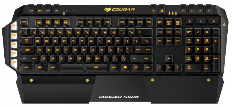 cougar_500k_1