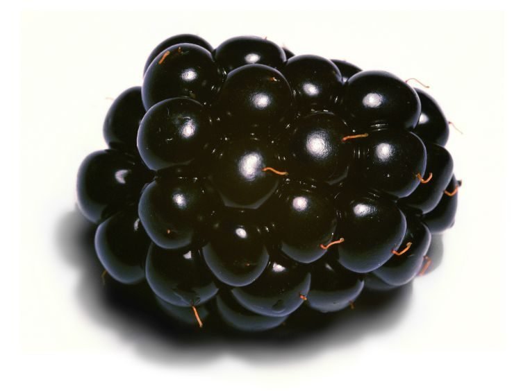 Blackberry_close-up