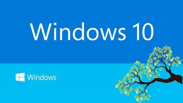win10branch