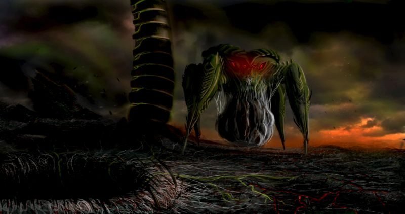 half life12