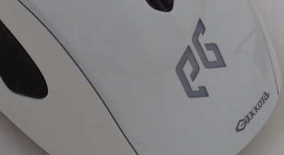 gekkota