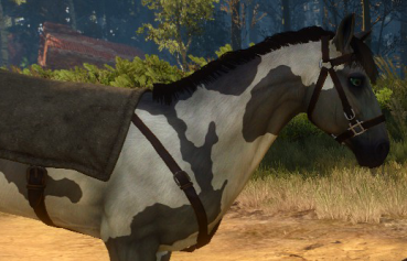 witcher