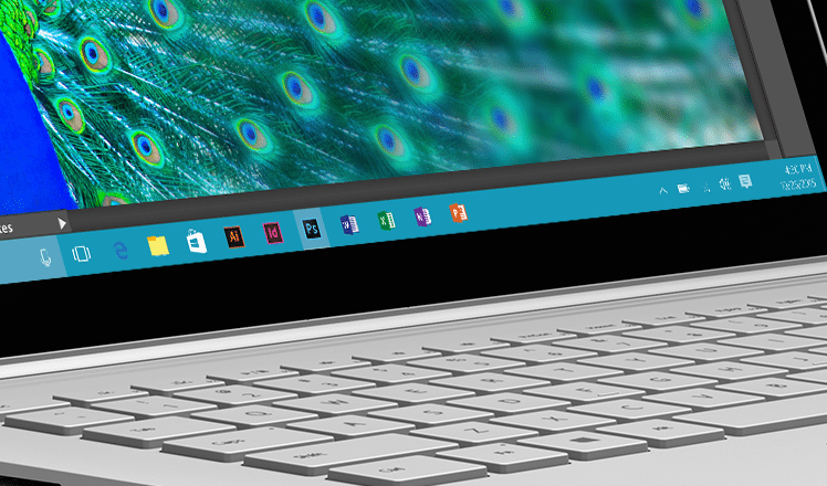surface