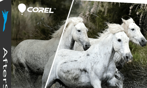corel