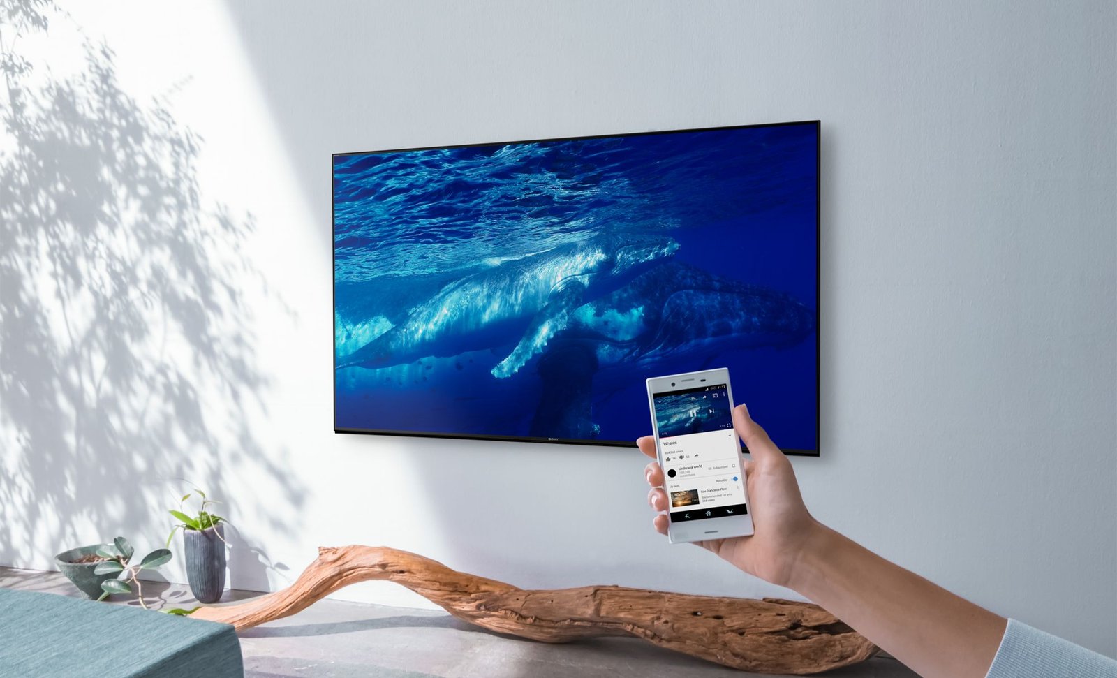 Android TV watch