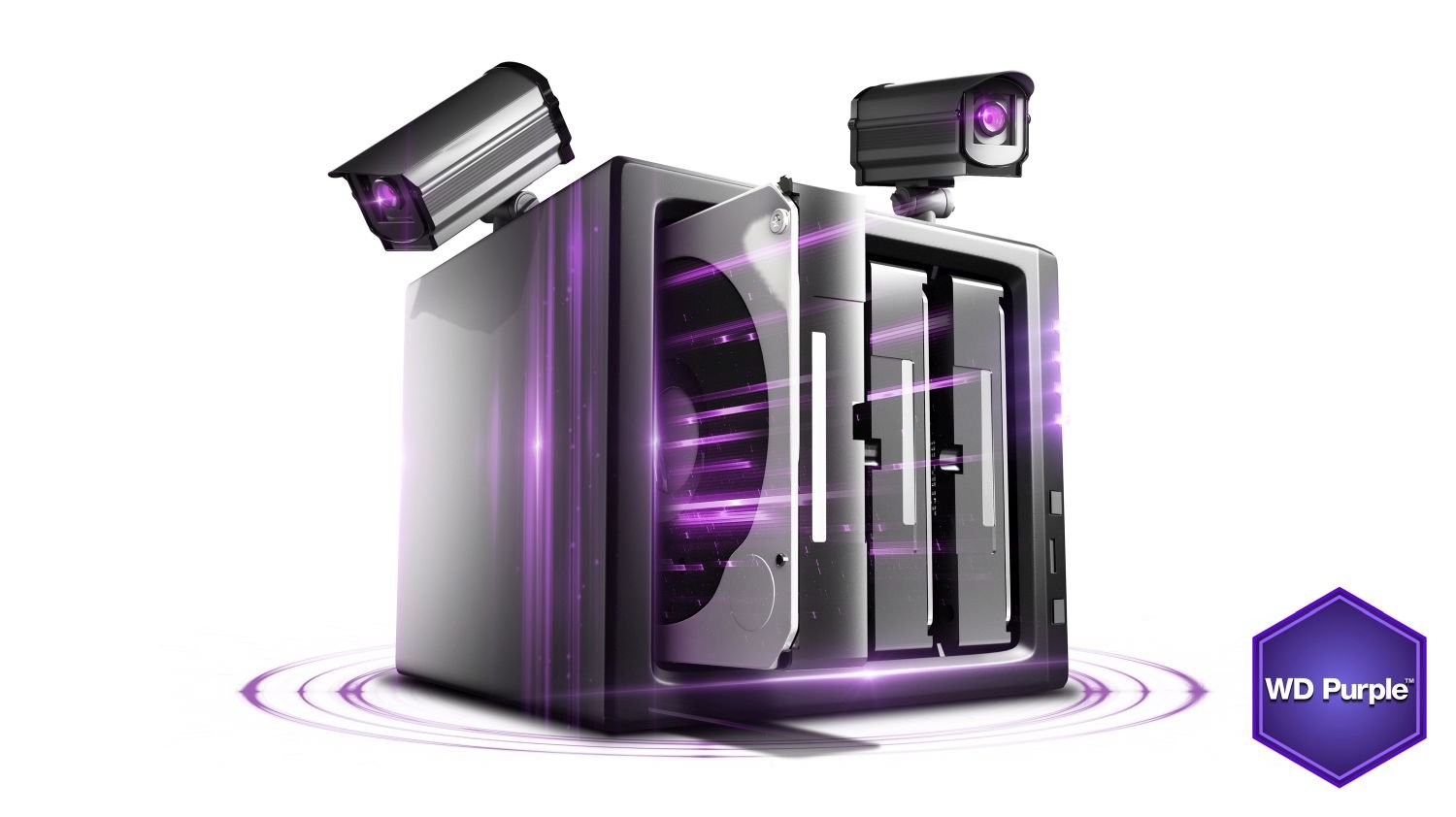 wdfWDPurple