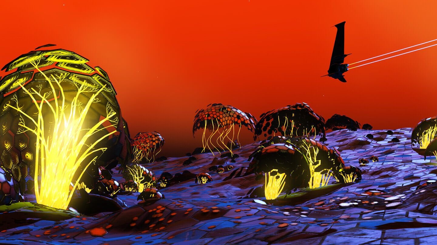 nms_atlas_hg_det_007-1440