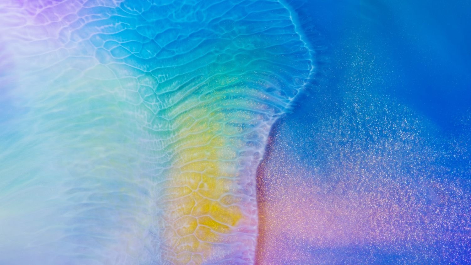 huawei-mate-20-2560x1440-20685