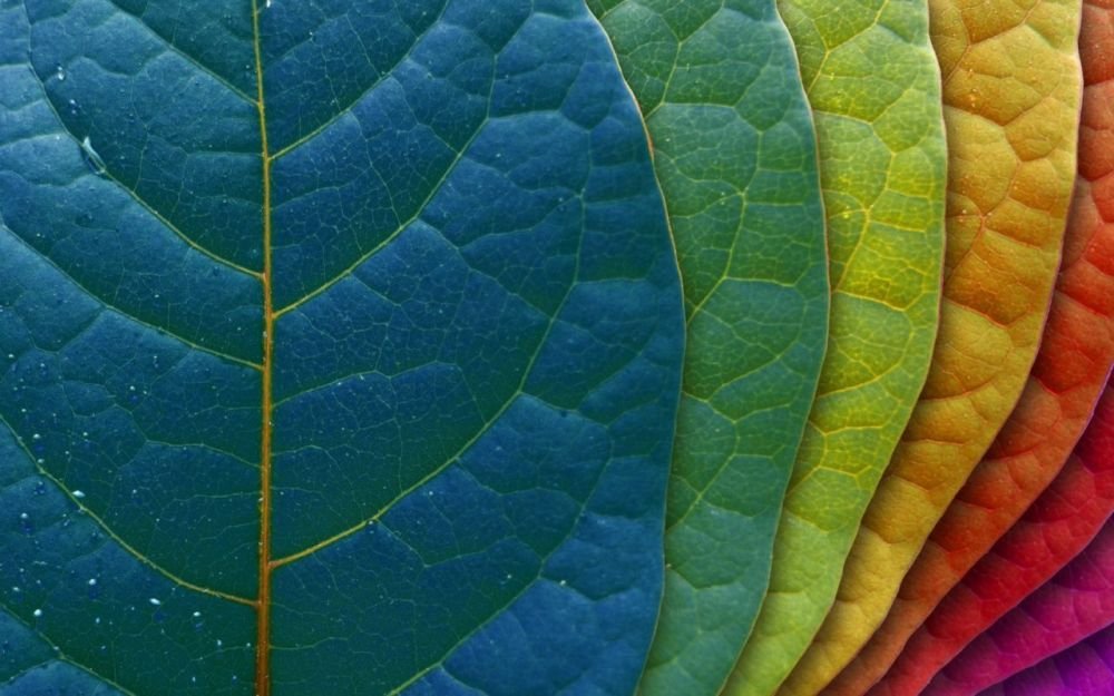 background-wallpaper-2-1280x800