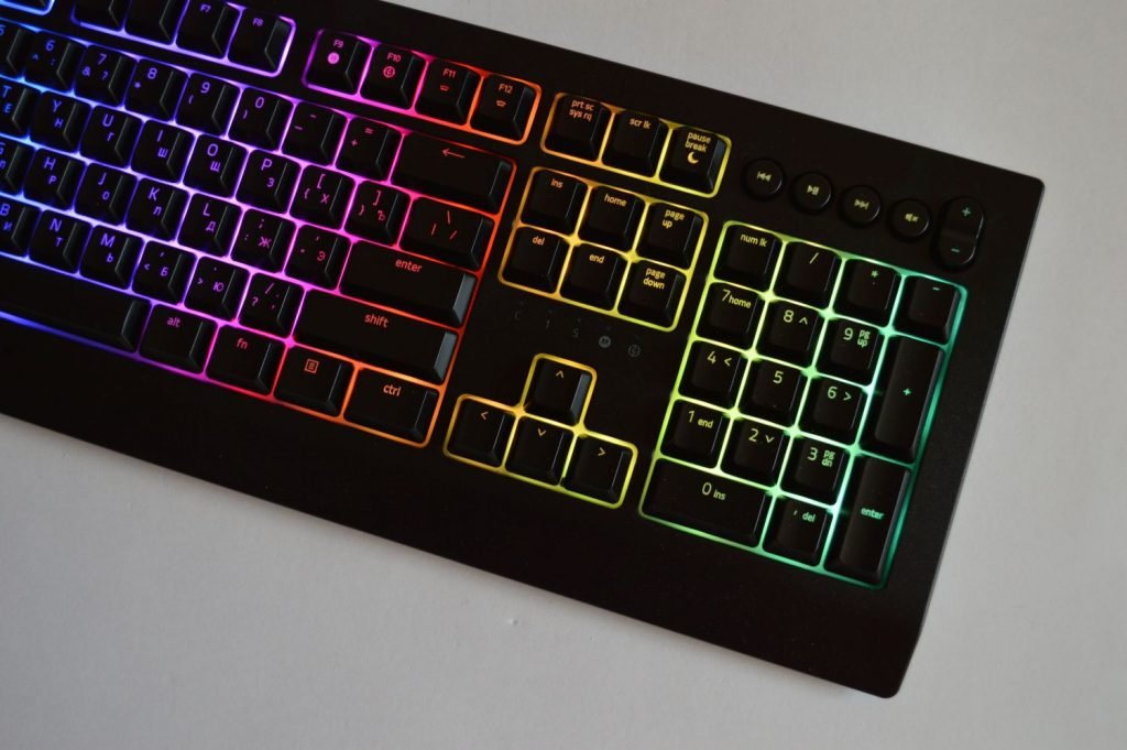 razer v2