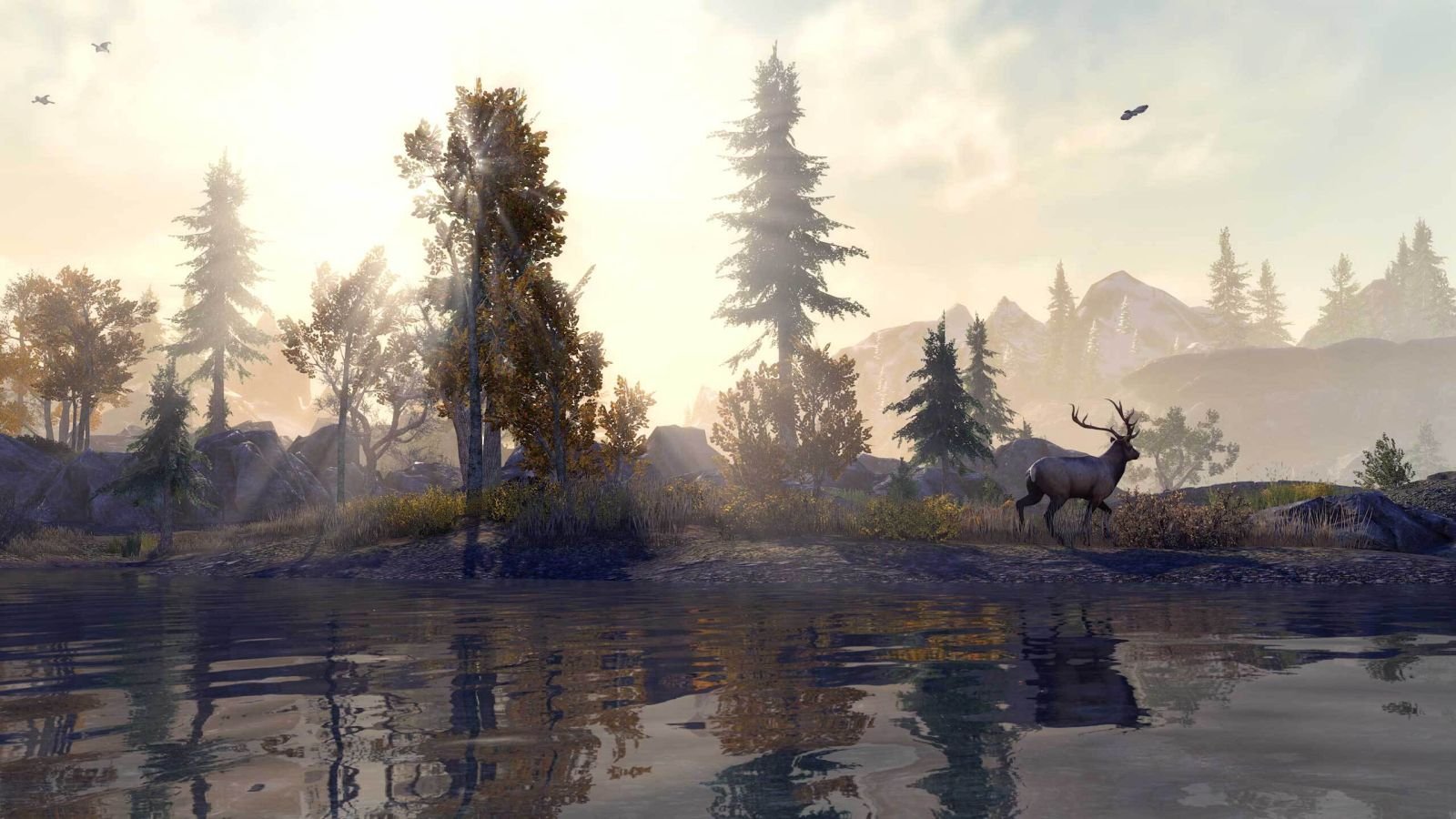 The Elder Scrolls Online: Console Enhanced