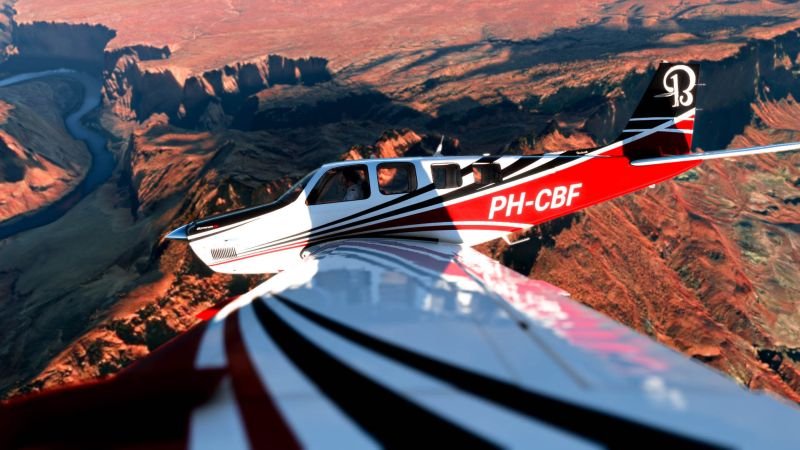 Microsoft Flight Simulator