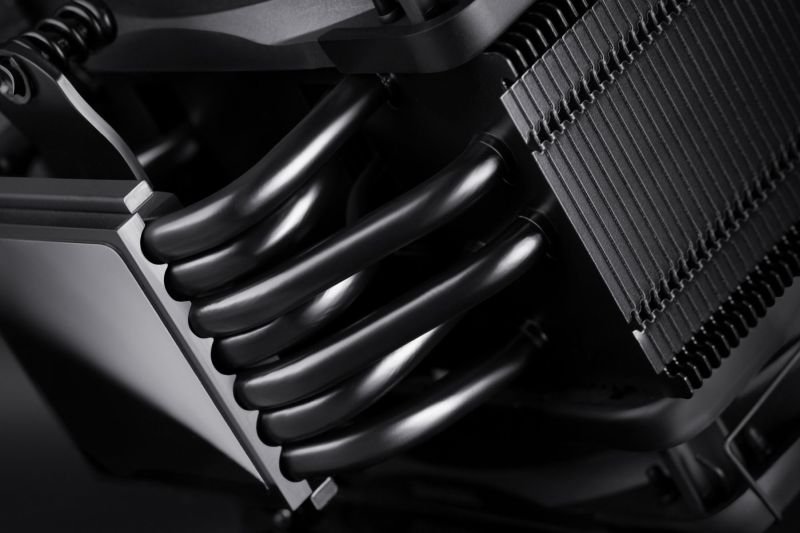 noctua