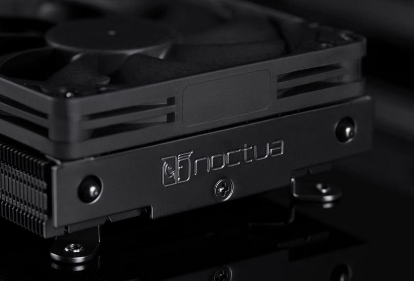 noctua