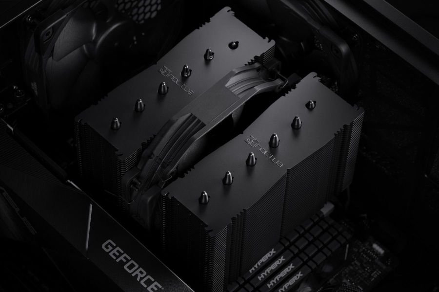noctua