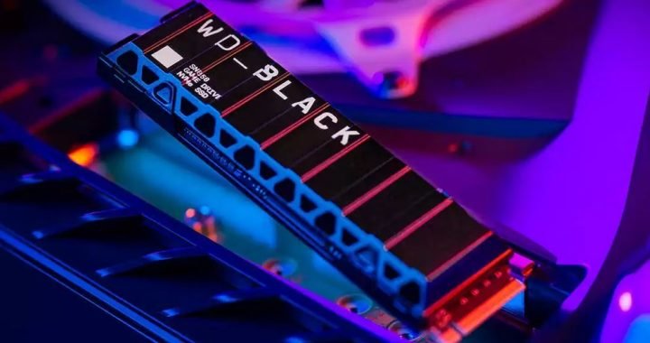 wd black