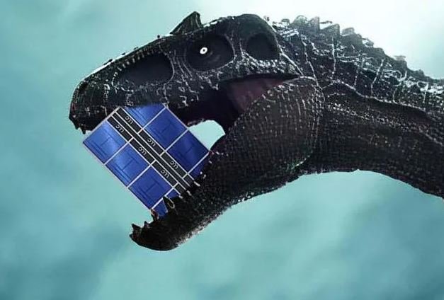 raptor