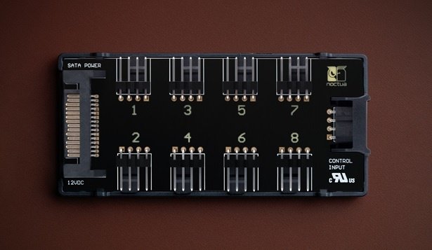 noctua