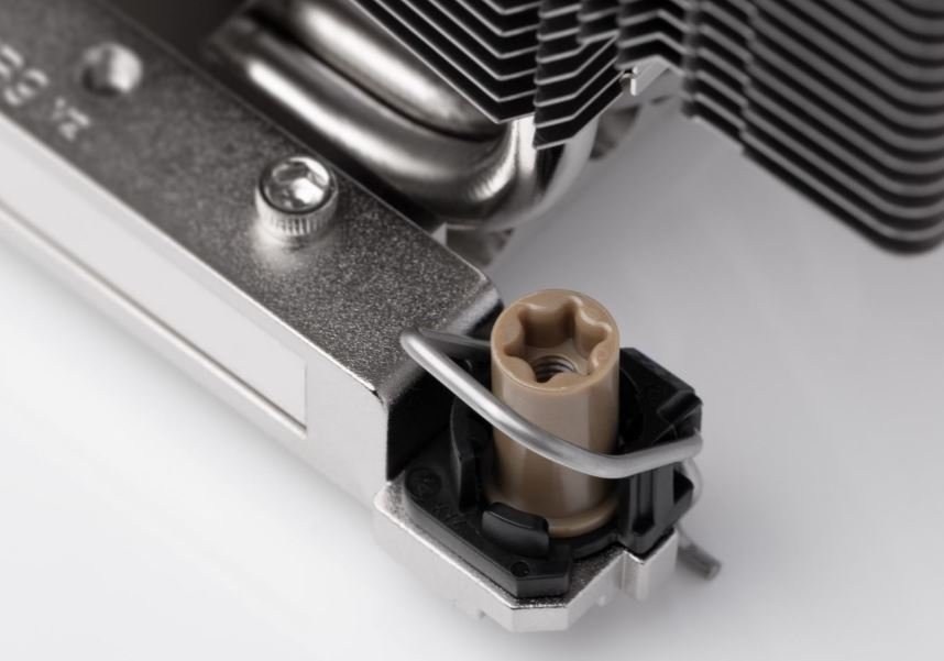 noctua