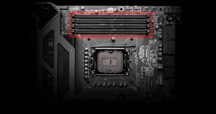 evga