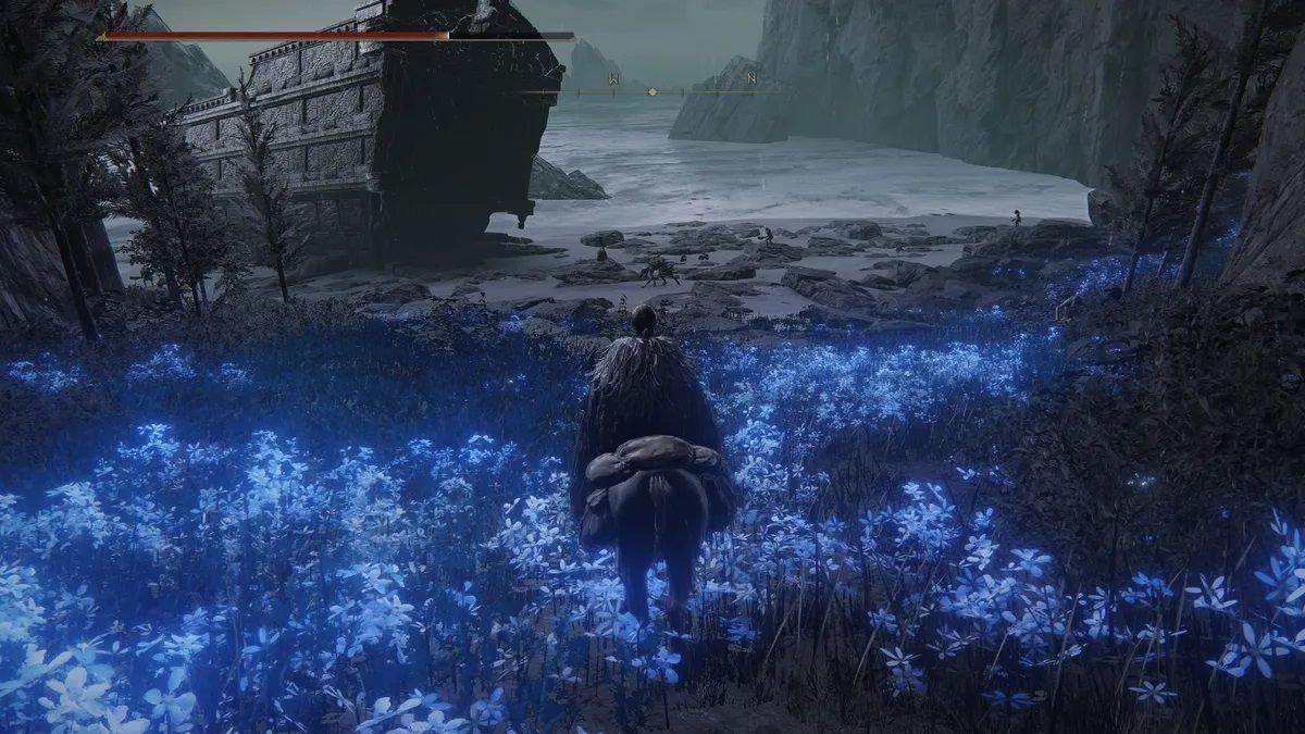 Elden Ring Shadow of the Erdtree