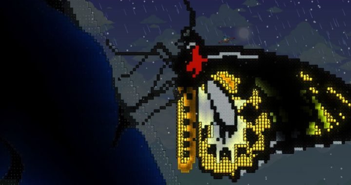 Terraria