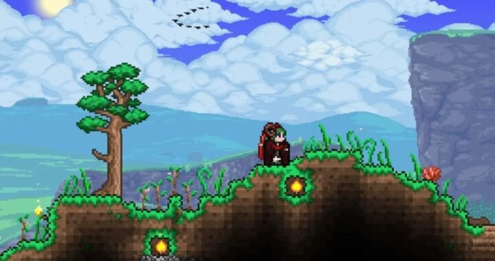 Lucky Clover